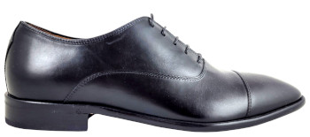 Lorenzi 411
